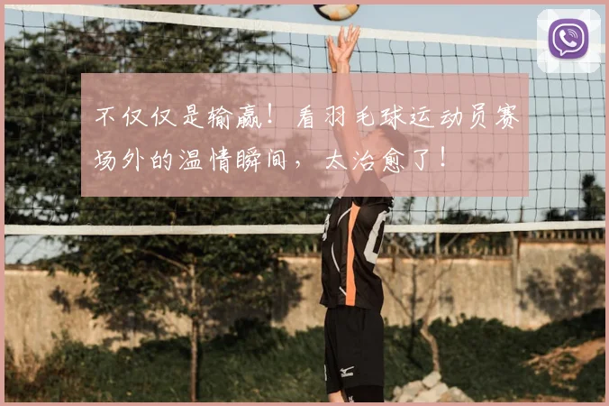 不仅仅是输赢!看羽毛球运动员赛场外的温情瞬间,太治愈了!
